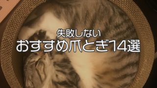 【愛猫家イチオシ】猫用の爪とぎ おすすめ14選|失敗なしで猫が喜ぶ人気の商品が必ず見つかる!【2019年版】