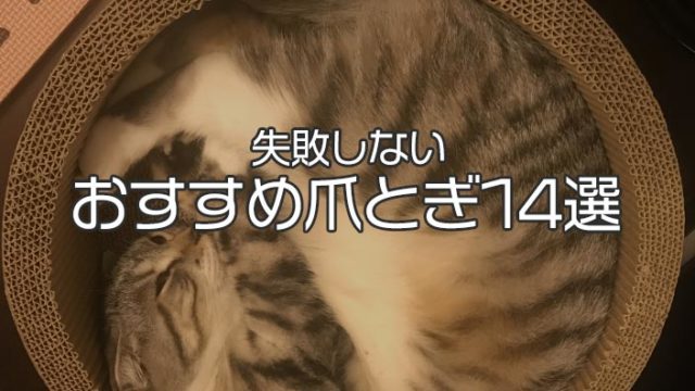 Pawz Road キャットトンネル レビュー 猫が夢中で遊んでくれる 白いボンボンが驚異の吸引力を発揮するただひとつの猫トンネル 動画あり ねこ こもり