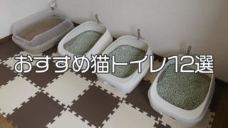 【愛猫家イチオシ】猫トイレおすすめ12選|猫用トイレの種類や選び方を詳しく解説!