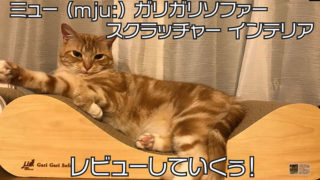 【ミュー (mju:) ガリガリソファー スクラッチャー インテリア】インテリアとしても使えてソファベッドにもなる爪とぎ【口コミ・感想・評価】