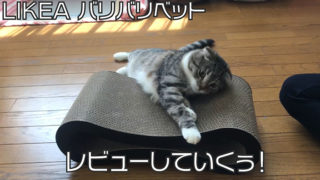 【LIKEA バリバリベットレビュー】爪とぎだけでなくリラックススペースとしても使える便利な爪とぎ【口コミ・感想・評価】