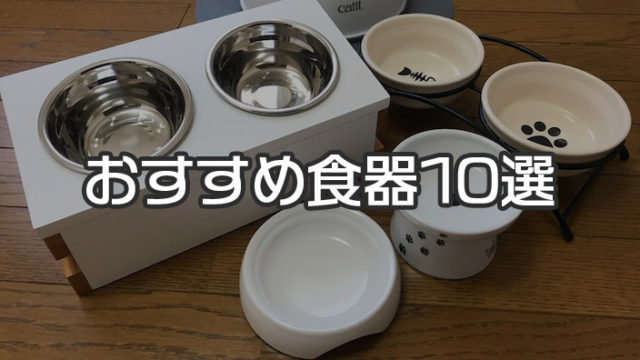 【最新版】猫用の食器・餌入れ おすすめ人気ランキング 10選|食器の高さと安定感を重視して選ぶのがコツ!