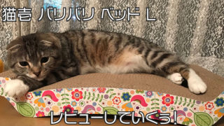 【猫壱 バリバリ ベッド L 花柄】両面使えてコスパ良し◎猫がダメになるベットは嘘じゃない!【口コミ・感想・評価】