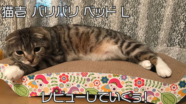 【猫壱 バリバリ ベッド L 花柄】両面使えてコスパ良し◎猫がダメになるベットは嘘じゃない!【口コミ・感想・評価】