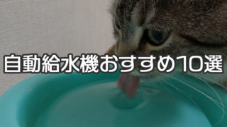 【最新版】猫用自動給水機のおすすめ人気ランキング 10選