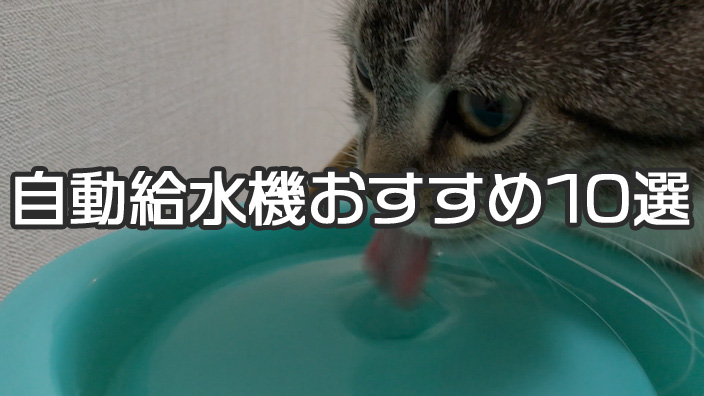 【最新版】猫用自動給水機のおすすめ人気ランキング 10選