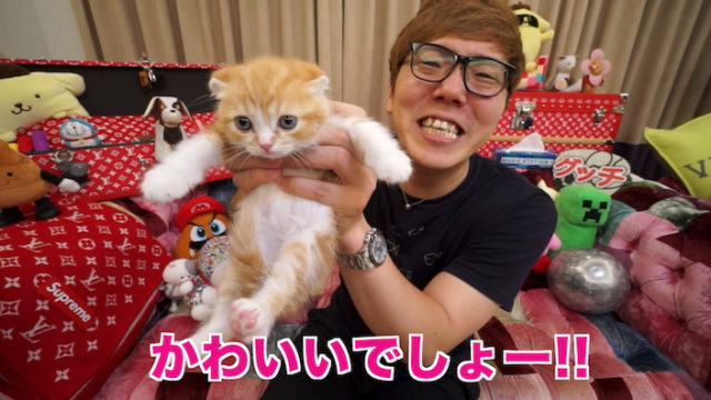 ヒカキンが使っている猫グッズまとめ