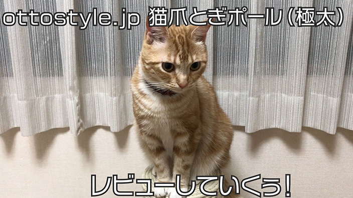 【ottostyle.jp 猫用爪とぎポール（極太）レビュー】極太ポールで安定感抜群！大きな猫におすすめの爪とぎ【口コミ・感想・評価】
