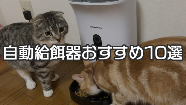 【最新版】自動給餌器おすすめ人気ランキング&選び方|カメラ付きやスマホで遠隔操作できるスマートペットフィーダーがトレンド!【猫用】