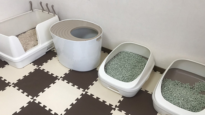 猫トイレの種類