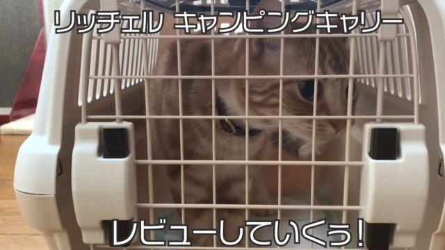 【リッチェル キャンピングキャリーレビュー】災害時の移動などにも安心して使えるゆったりサイズのキャリーバック【動画あり】