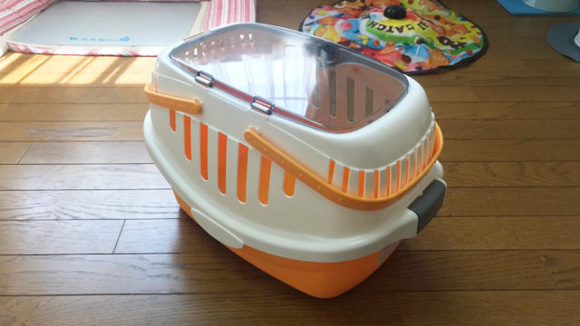 【リッチェル ピコ キャットキャリー レビュー】とってもかわいいのに安くて頑丈な猫用キャリーバッグ【動画あり】