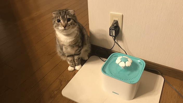 猫用自動給水機おすすめ人気ランキング 10選