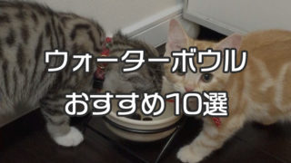 【最新版】猫用の水飲み器(ウォーターボウル) おすすめ人気ランキング 10選