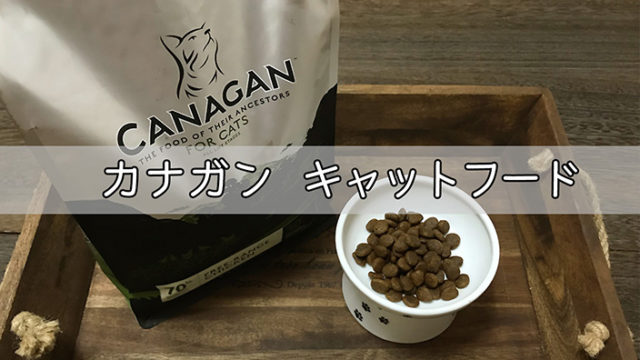 カナガンキャットフードの口コミ・評判|ステマや下痢で怪しい?真相は?実際に試したからわかる真実のレビュー【写真と動画つき体験談