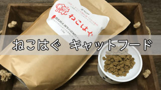 ねこはぐキャットフードの口コミ・評判|実際に試したからわかる真実のレビュー【写真と動画つき体験談】