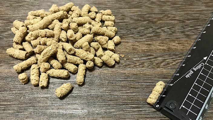 レガリエキャットフードの口コミ・評判_レガリエキャットフードを実際に試したからわかった「粒の形と大きさ」