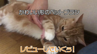 【ペットブラシ】付属のお掃除針でお手入れ楽チンな形のかわいいペットブラシ【動画あり】