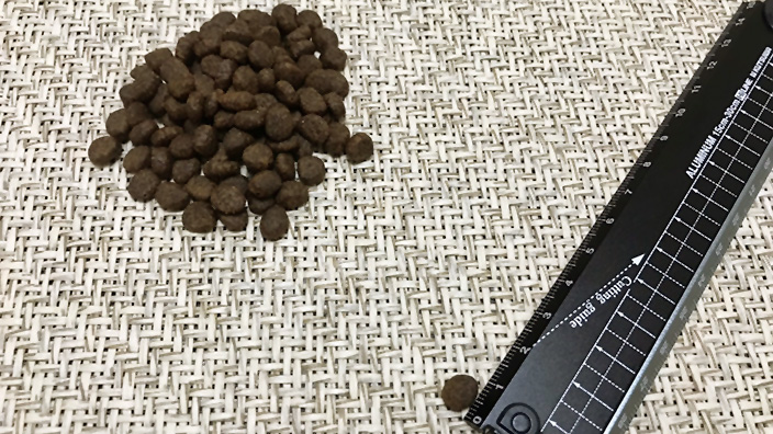 グランツキャットフード商品レビュー_キャットフードの大きさ