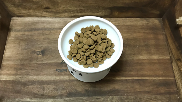 ねこはぐキャットフードの口コミ・評価_食器に盛る