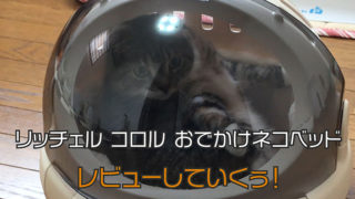 【リッチェル コロル おでかけネコベッド レビュー】丸い形がかわいい猫ベッドにもなるキャリーバッグ【動画あり】