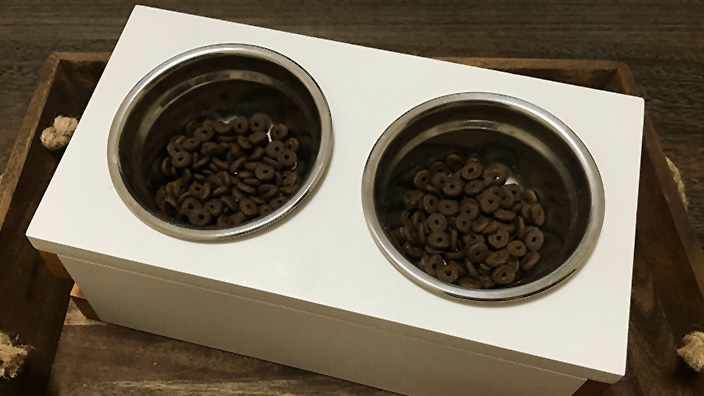 ジャガーキャットフードを実際に食べさせた人たちのリアルな口コミと評判・悪評まとめ!