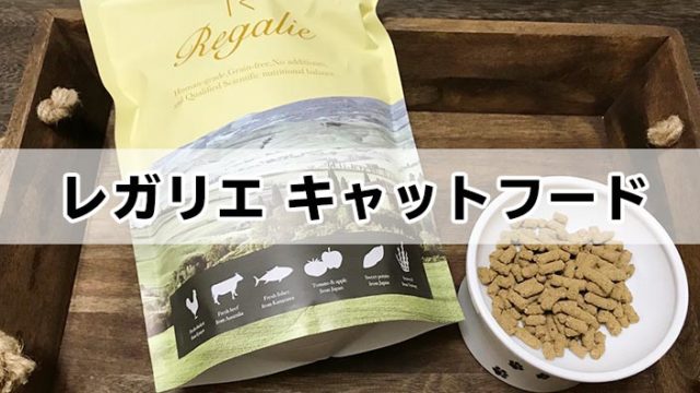 レガリエキャットフードの口コミ・評判|実際に試したからわかる真実のレビュー【写真と動画つき体験談】