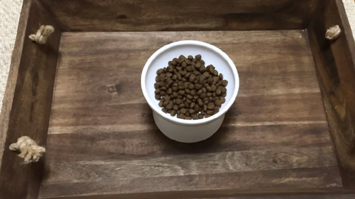 グランツキャットフード商品レビュー_キャットフードを食器に盛る