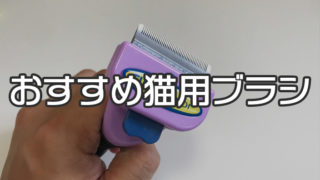 【愛猫家イチオシ】おすすめ猫用ブラシ22選(種類別)|ブラシの種類や使い方・選び方を詳しく解説!