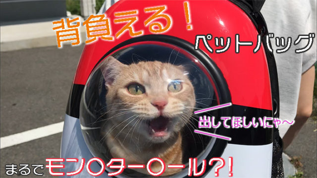 【Eternal Wings ペットバッグ レビュー】モンスターボール風でかわいい!持ち運びが楽なリュックタイプの犬猫兼用キャリーバッグ【動画あり】