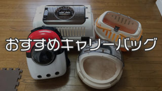 【愛猫家イチオシ】おすすめ猫用キャリーバッグ13選(種類別)|バッグの種類や選び方を詳しく解説!