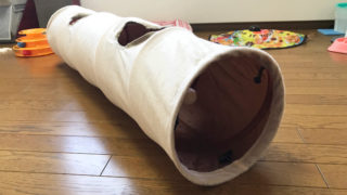 【PAWZ Road キャットトンネル レビュー】猫が夢中で遊んでくれる? 白いボンボンが驚異の吸引力を発揮するただひとつの猫トンネル【動画あり】