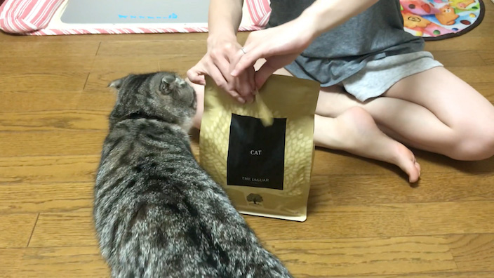 ジャガーキャットフードの口コミ・評判_キャットフードについて|ジャガーキャットフードの商品レビュー_りっちゃん