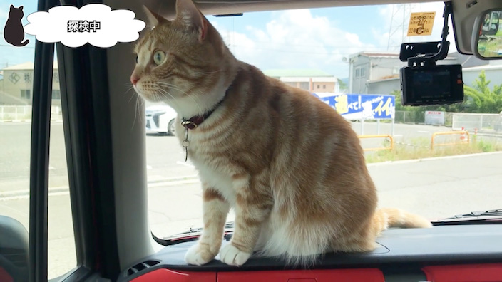 和歌山インター動物病院の口コミ・レビュー|まとめ