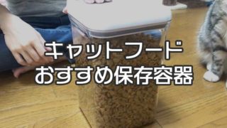【愛猫家イチオシ】キャットフード保存容器おすすめ9選|フードストッカーの種類や選び方を詳しく解説!