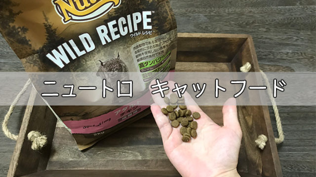 ニュートロ キャットフードの口コミ・評判|実際に試したからわかる真実のレビュー【安全性は大丈夫?】