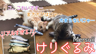 【Mersuii けりぐるみ レビュー】またたび入りで食いつき抜群!リアルすぎる魚のけりぐるみ【動画あり】