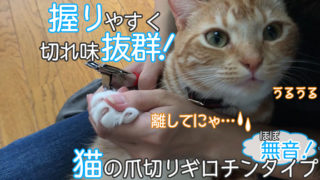 【WeinaBingo 爪切り ギロチンタイプ レビュー】ほぼ無音で使いやすく切れ味抜群の猫の爪切り【動画あり】