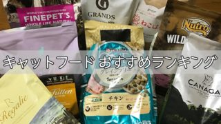【愛猫家イチオシ】キャットフードおすすめランキング|安全で食いつき抜群な餌はどれ?【2019年】