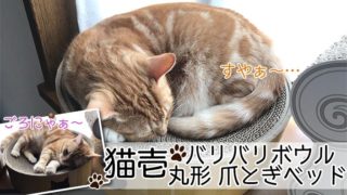 【猫壱_バリバリボウル レビュー】猫のマークがかわいい!爪とぎだけでなくくつろぎスペースとしても使える猫の爪とぎ【動画あり】