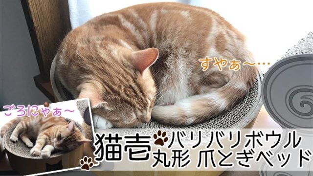 【猫壱_バリバリボウル レビュー】猫のマークがかわいい!爪とぎだけでなくくつろぎスペースとしても使える猫の爪とぎ【動画あり】