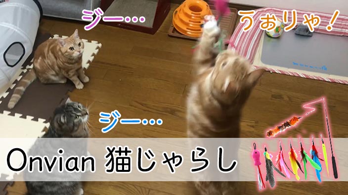 【Onvian 猫じゃらし レビュー】カラフルな羽根と魚のおもちゃで猫がくいつく猫じゃらし【動画あり】