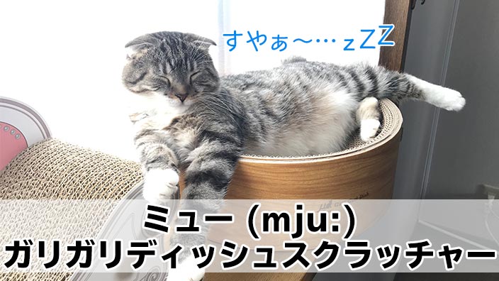 【ミュー (mju) ガリガリディッシュスクラッチャー レビュー】高級感ある木目調がかっこいい猫の爪とぎ