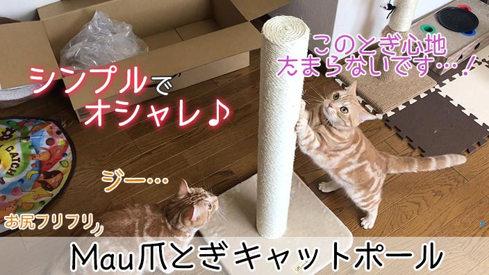 【Mau 爪とぎ キャットポール レビュー】オシャレで高品質な麻縄タイプの猫の爪とぎ【動画あり】