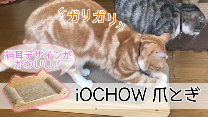 【iOCHOW つめとぎ レビュー】猫耳の形がかわいいベッドにもなる猫の爪とぎ【動画あり】
