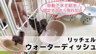 【リッチェル ウォーターディッシュ レビュー】倒れて水がこぼれる心配がない猫用ケージに設置できるウォーターディッシュ【動画あり】