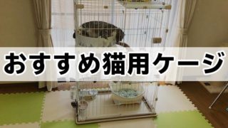 【愛猫家イチオシ】猫用ケージおすすめ10選|猫用ケージの必要性や選び方を詳しく解説!