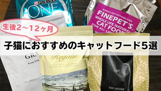 生後2〜12ヶ月までの子猫におすすめなキャットフード5選【安全な餌で健康に育って欲しい!】