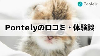 【Pontelyの口コミ・体験談】猫の遺伝子検査で将来の病気がわかる?他社との比較や実体験をご紹介