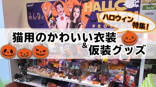 【2019年】ハロウィン特集!猫用のかわいい衣装&仮装グッズ11選【素敵なコスプレでインスタ映え!】